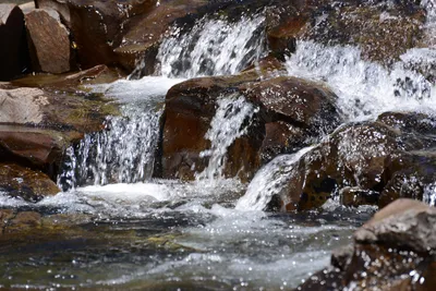 DSC_3593 (Large).JPG